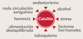 Factores que determinan la celulitis